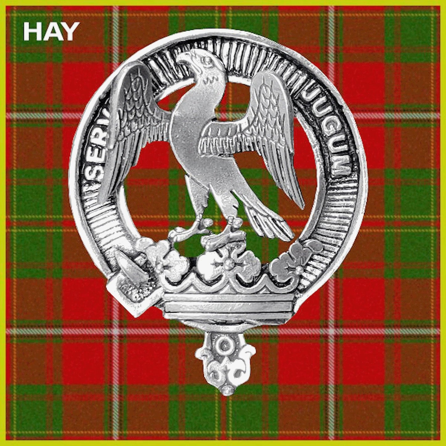 Hay Family Clan Badge Scottish Plaid Brooch